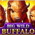 Big Wild Buffalo