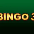 Bingo 3