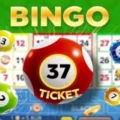 Bingo 37 Ticket
