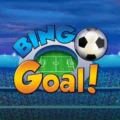 Bingo Goal