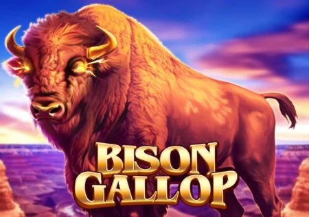 Bison Gallop