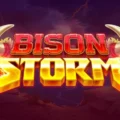 Bison Storm