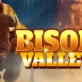 Bison Valley