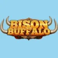 Bison vs Buffalo