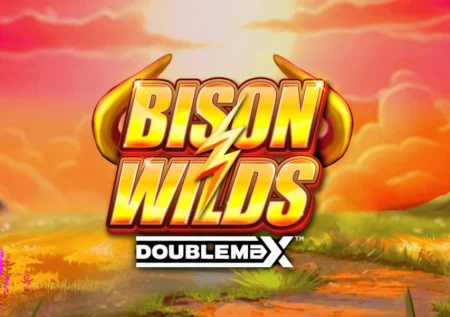 Bison Wilds DoubleMax