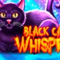 Black Cat Whisper