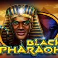 Black Pharaoh