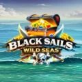 Black Sails Wild Seas