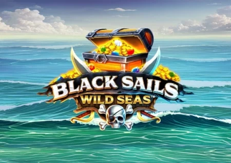 Black Sails Wild Seas