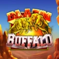 Blaz’n Buffalo
