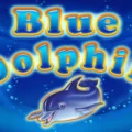 Blue Dolphin