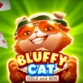Bluffy Cat Hold and Win