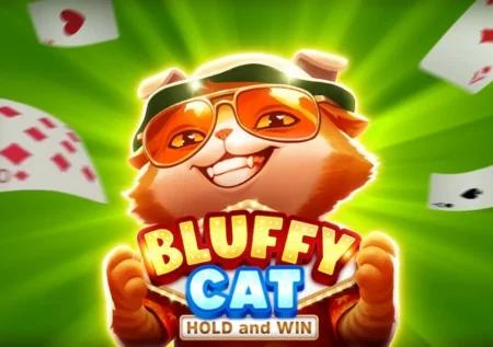 Bluffy Cat Hold and Win