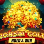 Bonsai Gold Hold & Win