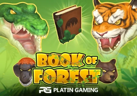 Book Of Forest