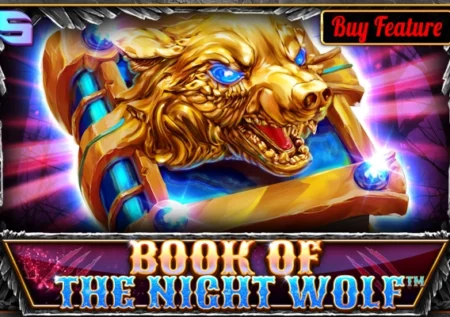 Book of the Night Wolf