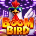 Boom Bird