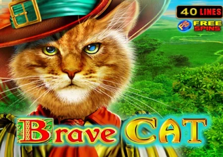 Brave Cat