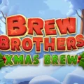 Brew Brothers: Xmas Brew