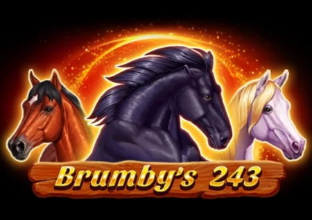 Brumby’s 243