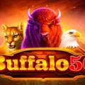 Buffalo 50