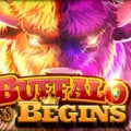 Buffalo Begins