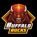 Buffalo Bucks