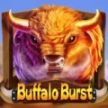 Buffalo Burst