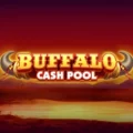 Buffalo Cash Pool
