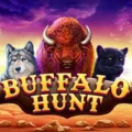 Buffalo Hunt