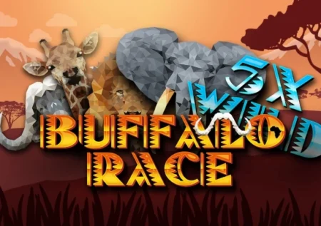 Buffalo Race