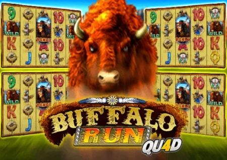 Buffalo Run Quad