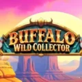 Buffalo Wild Collector