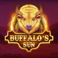 Buffalo’s Sun