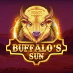 Buffalo’s Sun