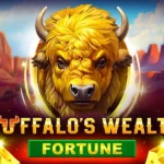 Buffalo’s Wealth Fortune