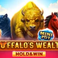 Buffalo’s Wealth Hold & Win