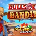 Bulls Eye Bandits