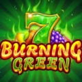 Burning Green