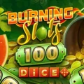 Burning Slots 100 Dice