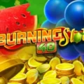 Burning Slots 40