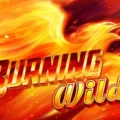 Burning Wild
