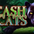 Cash Cats