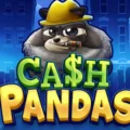 Cash Pandas