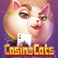 Casino Cats