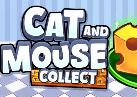 Cat and Mouse: Collect