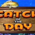 Catch Of The Day