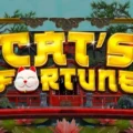 Cat’s Fortune