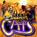 Cats MegaJackpots