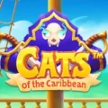 Cats of the Caribbean